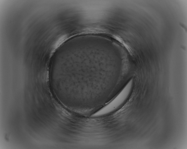 X0000091901459200709121449