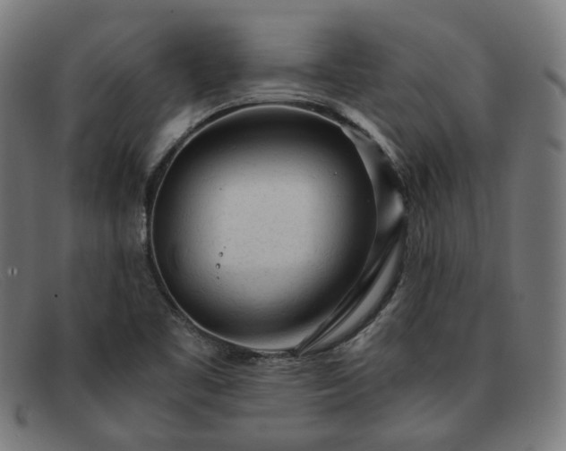 X0000091901461200709121449