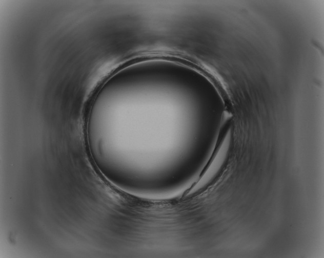 X0000091901464200709121449