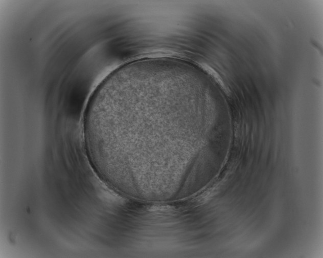 X0000091901466200709121449