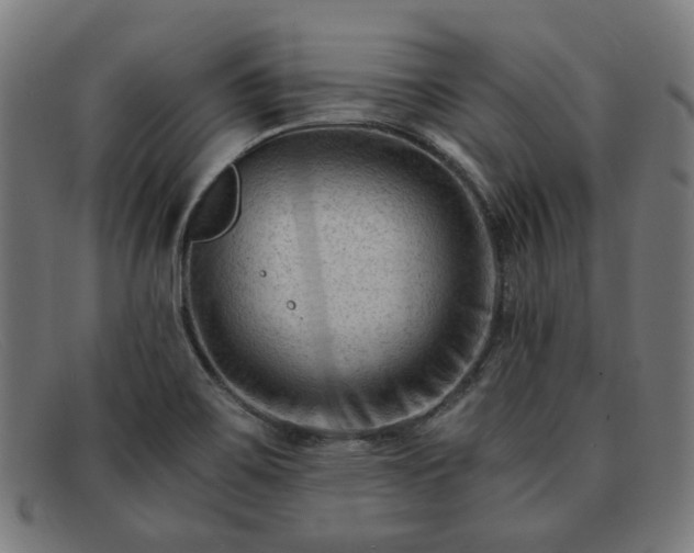 X0000091901467200709121449