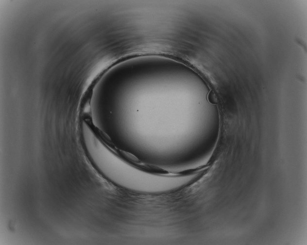 X0000091901469200709121449