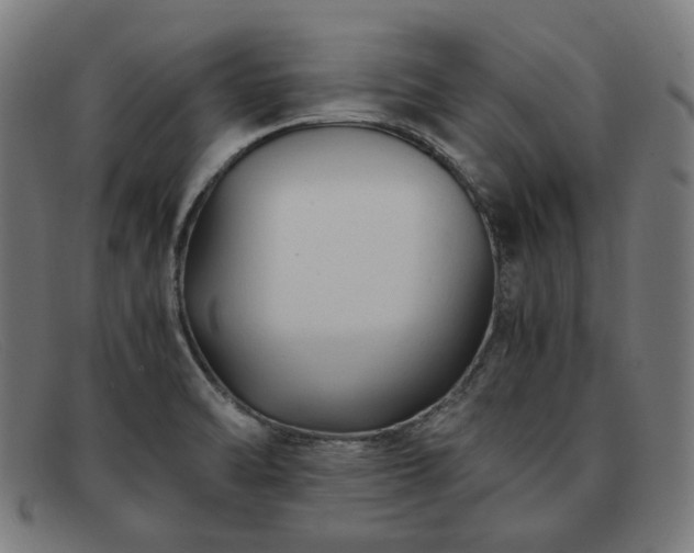 X0000091901470200709121449