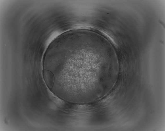 X0000091901471200709121449