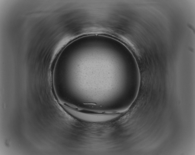 X0000091901472200709121449