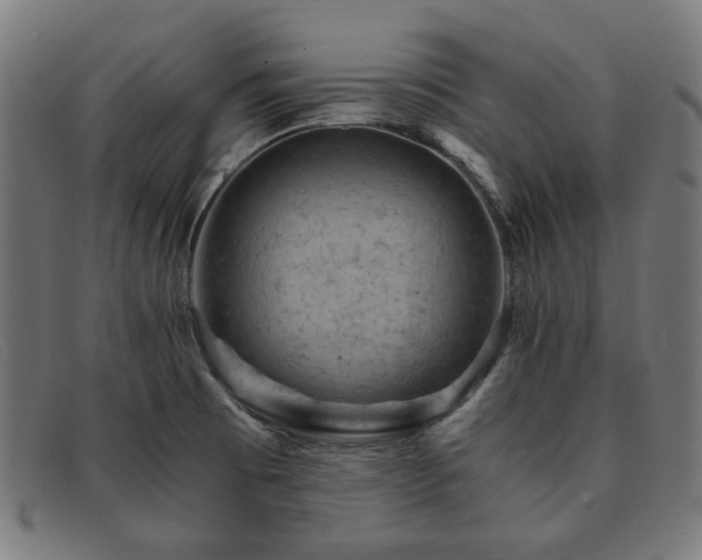 X0000091901473200709121449