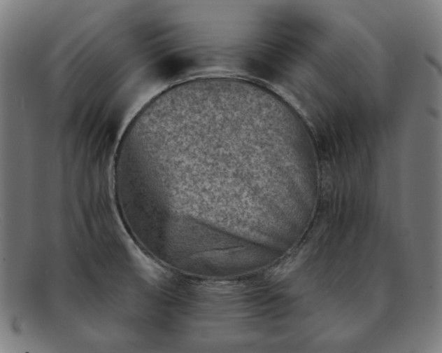 X0000091901474200709121449