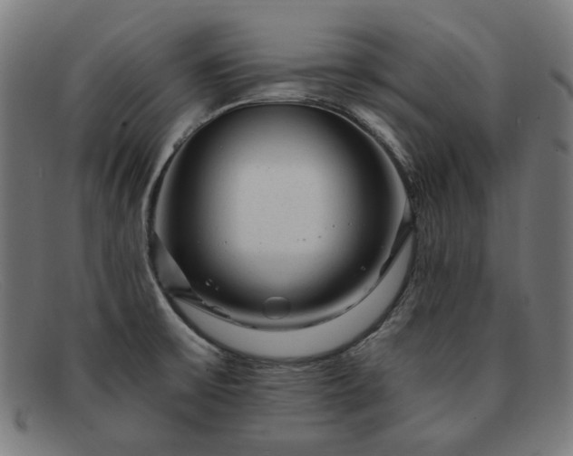 X0000091901475200709121449