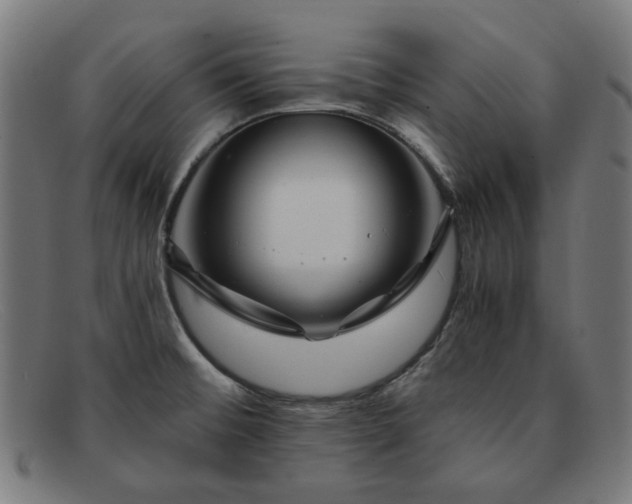 X0000091901476200709121449