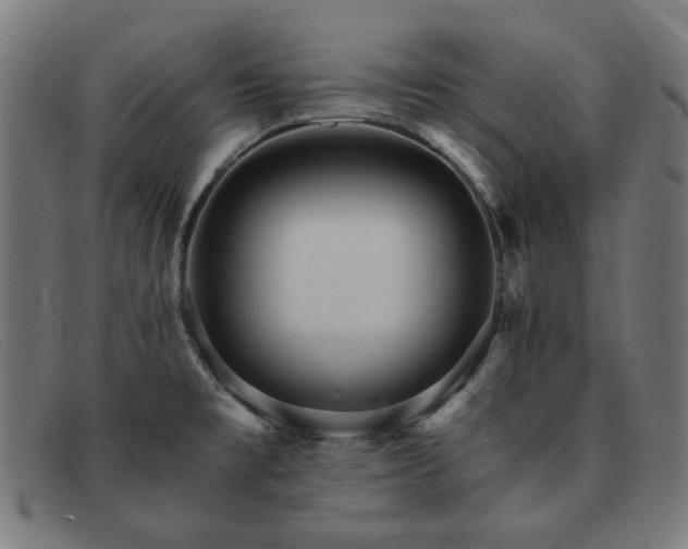 X0000091901477200709121449