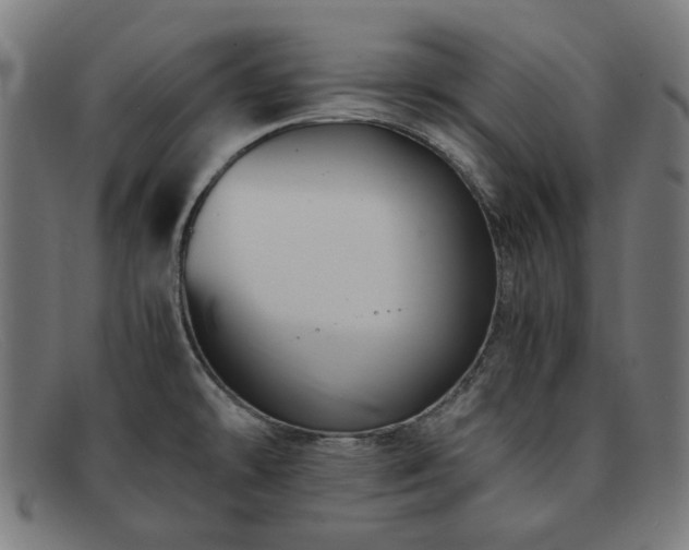 X0000091901478200709121449