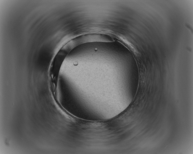 X0000091901479200709121449