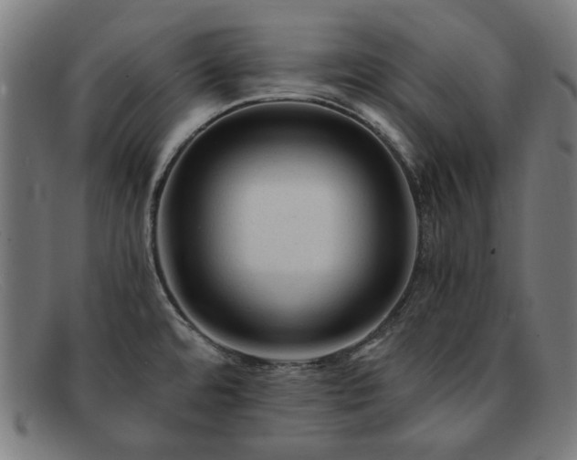 X0000091901480200709121449