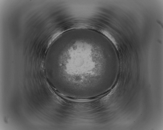 X0000091901481200709121449