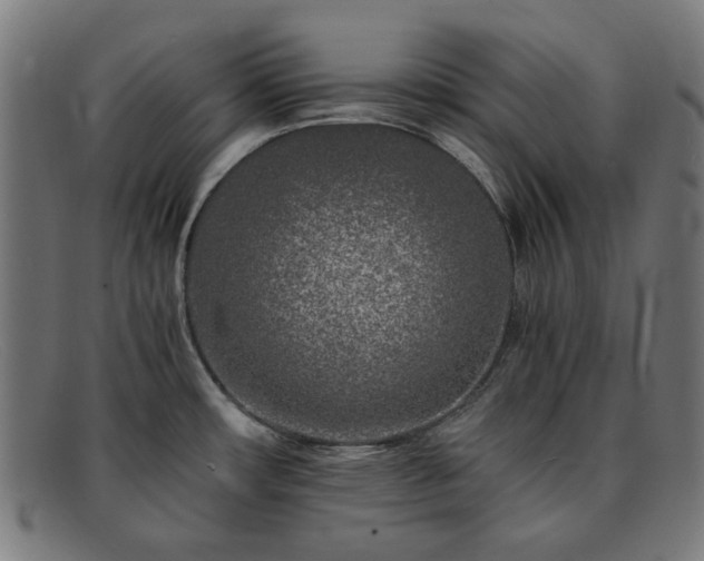 X0000091901482200709121449