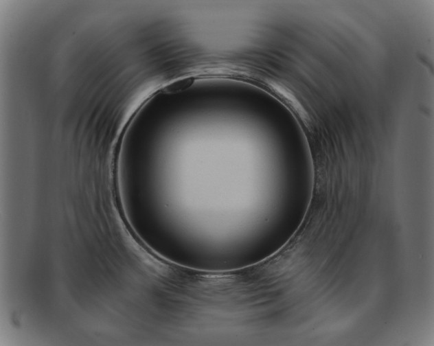 X0000091901483200709121449