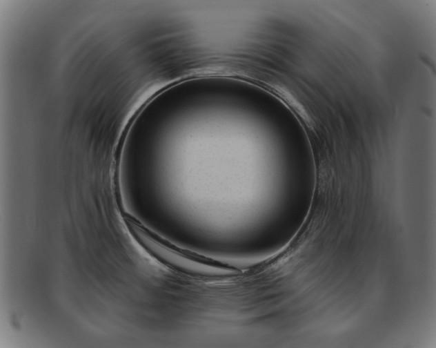 X0000091901484200709121449