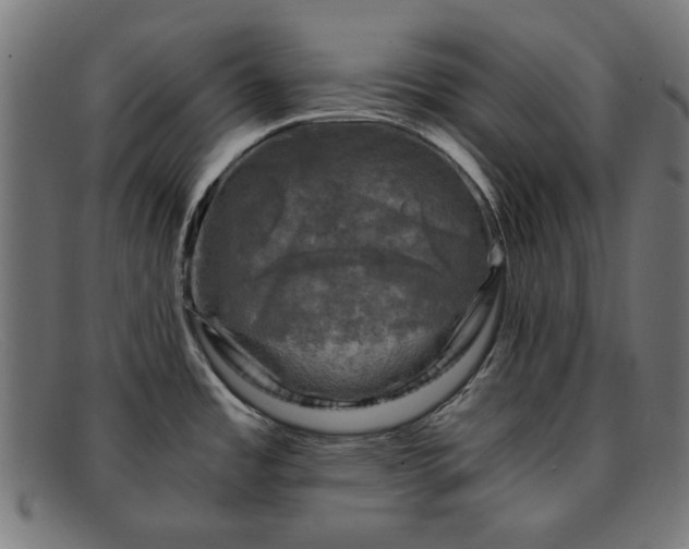 X0000091901485200709121449