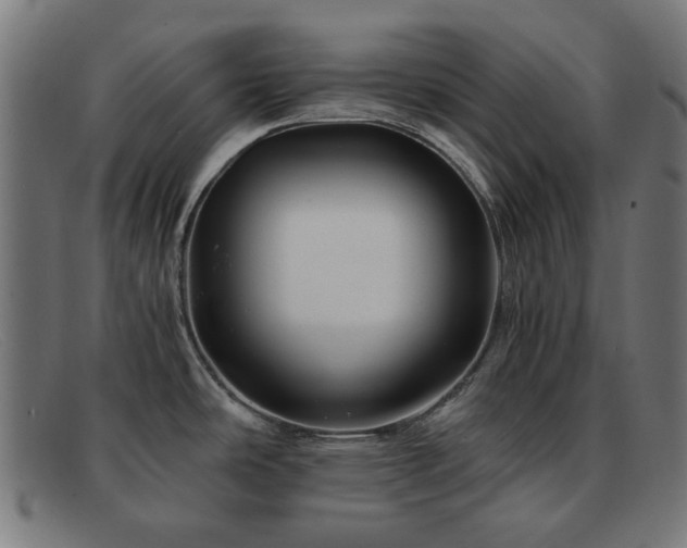 X0000091901486200709121449