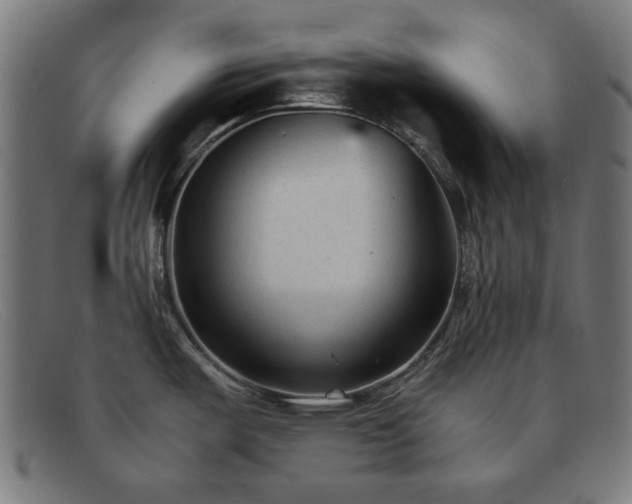 X0000091901487200709121449