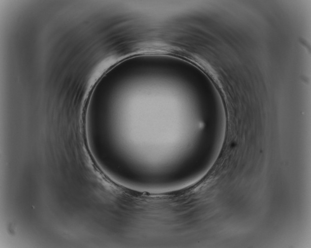 X0000091901488200709121449