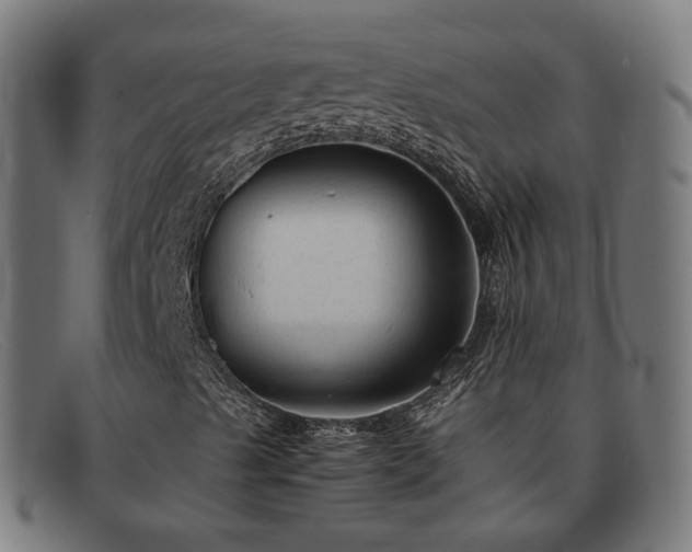 X0000091901489200709121449