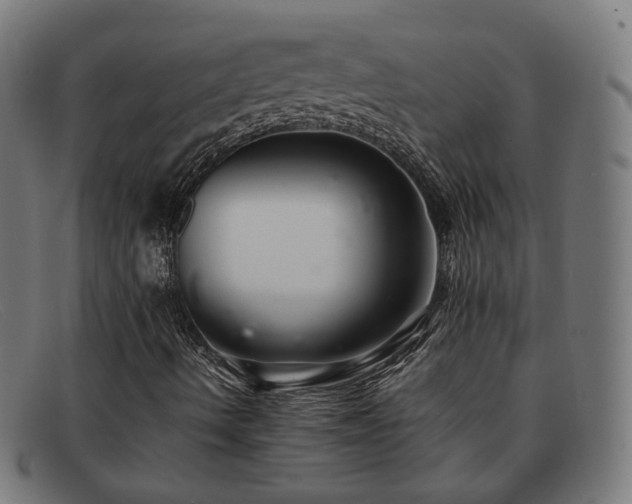 X0000091901490200709121449