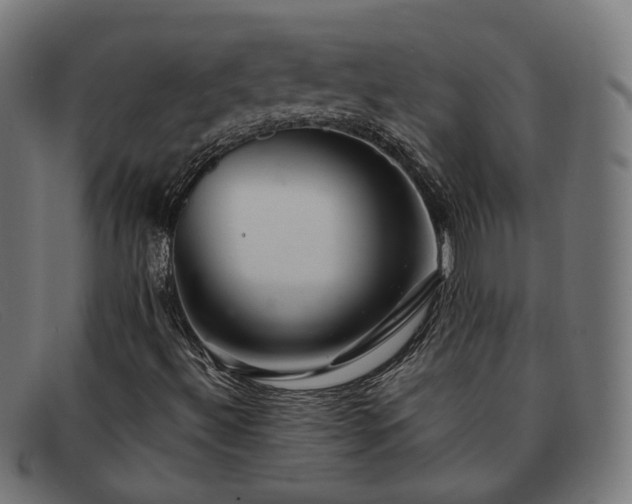 X0000091901492200709121449