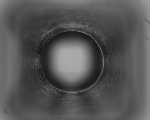 X0000091901493200709121449