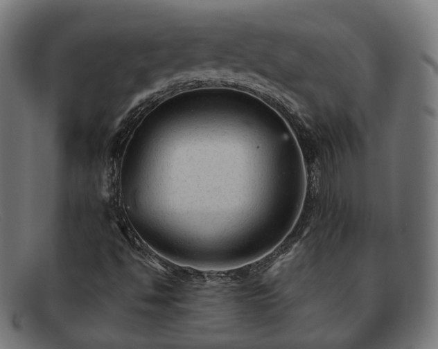 X0000091901494200709121449