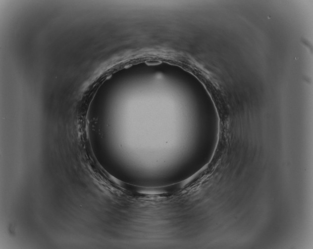 X0000091901496200709121449