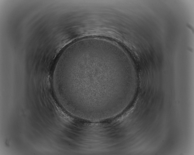 X0000091901497200709121449