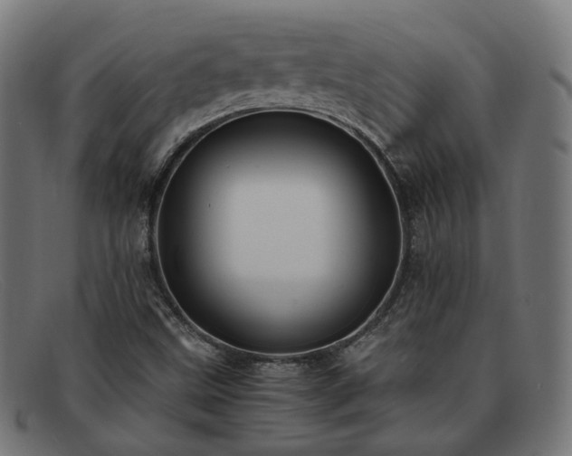 X0000091901499200709121449