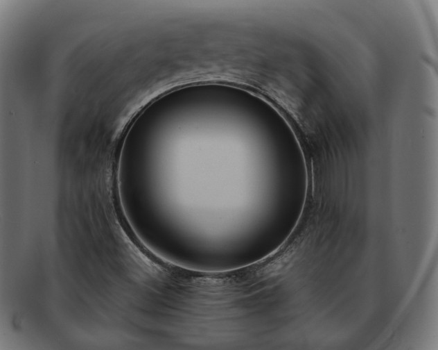 X0000091901500200709121449