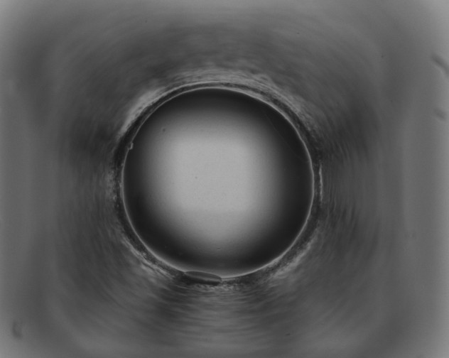 X0000091901501200709121449