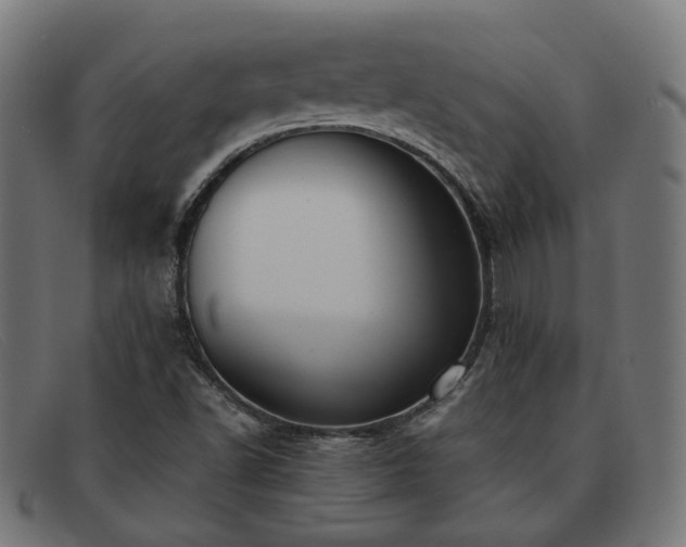 X0000091901502200709121449