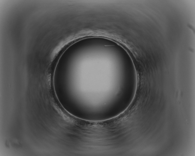 X0000091901503200709121449