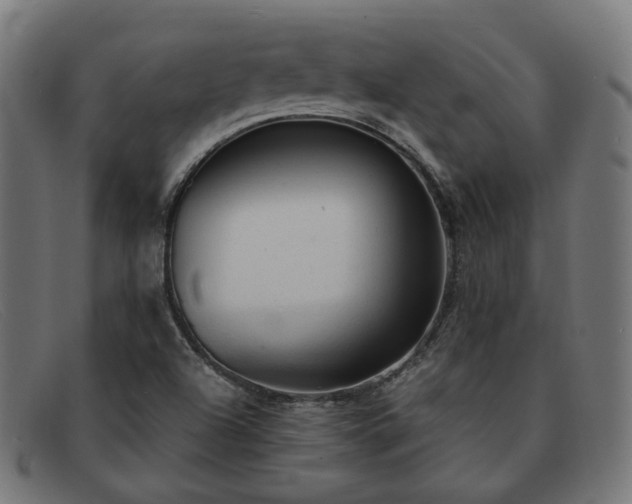 X0000091901504200709121449