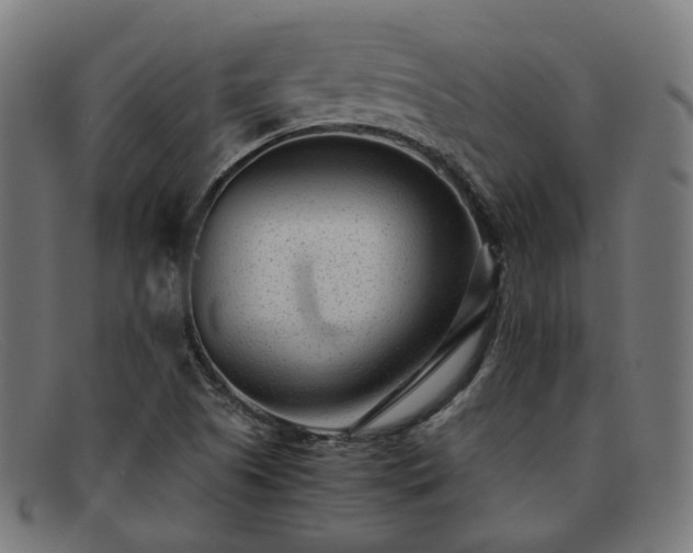 X0000091901505200709121449