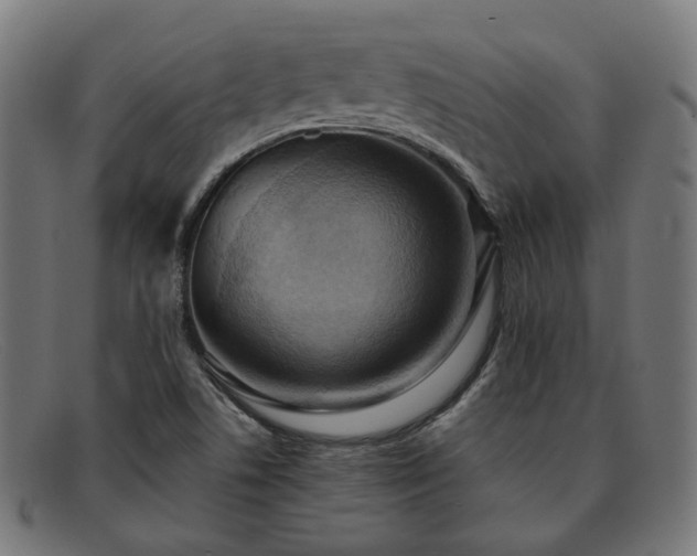 X0000091901506200709121449