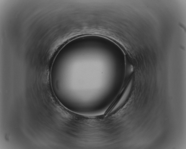 X0000091901507200709121449