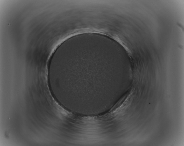 X0000091901508200709121449