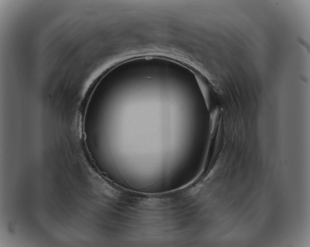 X0000091901510200709121449