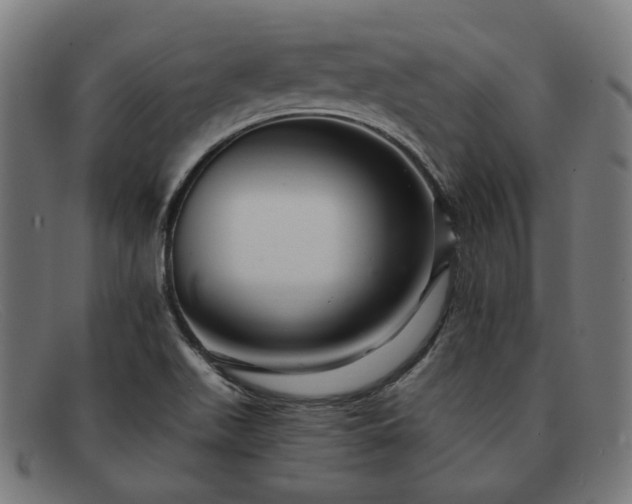 X0000091901511200709121449