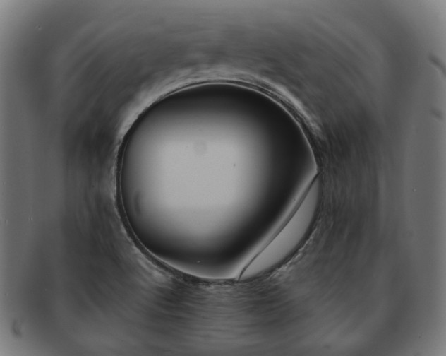 X0000091901512200709121449