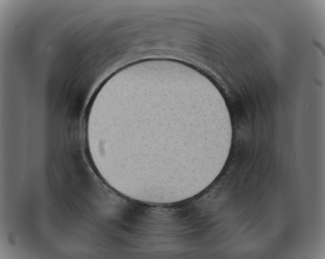 X0000091901514200709121449