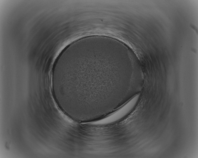 X0000091901515200709121449