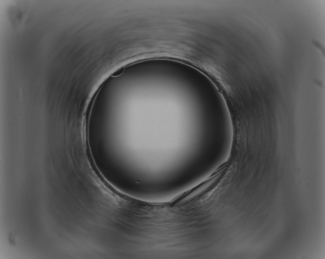 X0000091901516200709121449