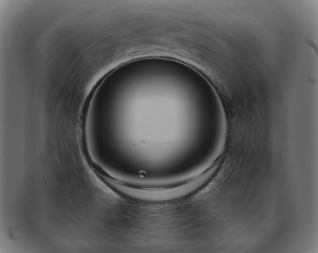 X0000091901518200709121449