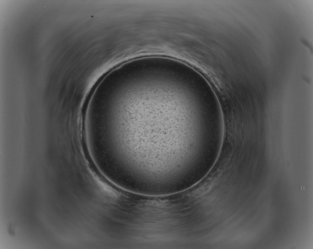 X0000091901519200709121449